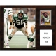 C & I Collectables C&I Collectables NFL 12x15 Bill Bergey Philadelphia Eagles Player Plaque