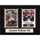 C & I Collectables Carson Palmer Arizona Cardinals 6'' x 8'' Plaque