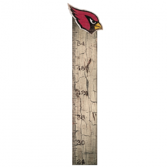 Fan Creations Arizona Cardinals 6