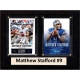 C & I Collectables C&I Collectables NFL 6x8 Matthew Stafford Detroit Lions 2-Card Plaque