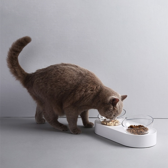 Xiaomi PETKIT Pet Bowl Feeding Dishes Adjustable Double Feeder Bowls Water Cup Cat Bowls Drinking Bowl Plastic / Stainless Steel