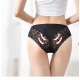 3Pcs Lace Underwear Panties for Women Panties Set Sexy Intimate Lingerie Lace Nylon Erotic Briefs Transparent Pantie Female
