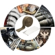 Motorcycle Exhaust Wrap Muffler Heat Shield Thermal Insulation Tape With Stainless Ties 5Cm*5M-10M-15M Exhaust Systems Motorbike