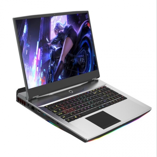 17-3 Inch Gaming Laptop I9-10885H Gtx1050Ti 32G 64G+1Tb Desktop Performance Support Intel 6789 Generation Processor Can Be Diy