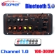 Woopker 300W Bluetooth Audio Amplifier Board D100 Subwoofer Dual Microphone Amp Module 12V 24V 220V Medie Player