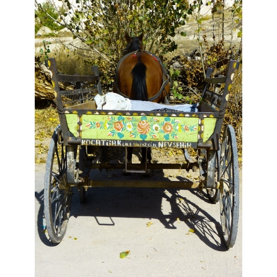 Home Comforts Horse Drawn Carriage Coach Dare Horse Wagon-20 Inch By 30 Inch Laminated Poster With Bright Colors And Vivid Imagery-Fits Perfectly In Many Attractive Frames