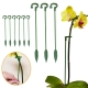 2-5-10pcs Plastic Plant Supports Flower Stand Reusable Protection Fixing Tool Gardening Supplies For Vegetable Holder Bracket