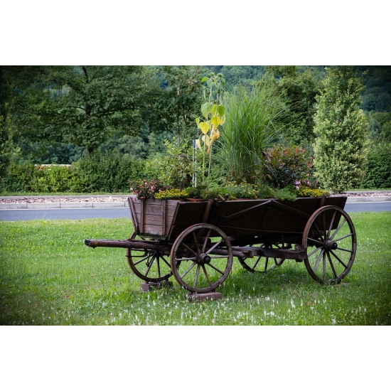 Home Comforts Horse Drawn Carriage Coach Old Wagon Wheel Dare-12 Inch BY 18 Inch Laminated Poster With Bright Colors And Vivid Imagery-Fits Perfectly In Many Attractive Frames