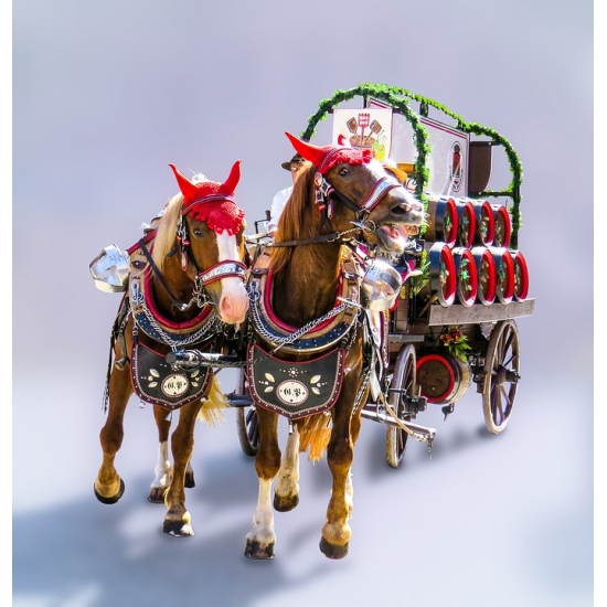Home Comforts Transport Horse Drawn Carriage Coach Horses-20 Inch By 30 Inch Laminated Poster With Bright Colors And Vivid Imagery-Fits Perfectly In Many Attractive Frames