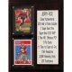 C & I Collectables C&I Collectables NFL 8x10 Jerry Rice San Francisco 49ers Career Stat Plaque