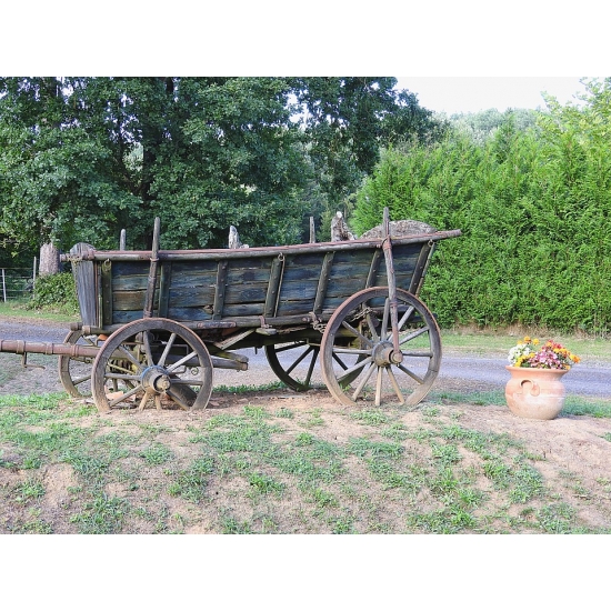 Home Comforts Horse Drawn Carriage Old Wagon Coach-12 Inch BY 18 Inch Laminated Poster With Bright Colors And Vivid Imagery-Fits Perfectly In Many Attractive Frames