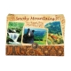 Americaware ZPSMT01 Smoky Mountains Vintage Print Zip Pouch