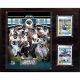 C & I Collectables C&I Collectables NFL 12x15 Jacksonville Jaguars 2012 Team Plaque