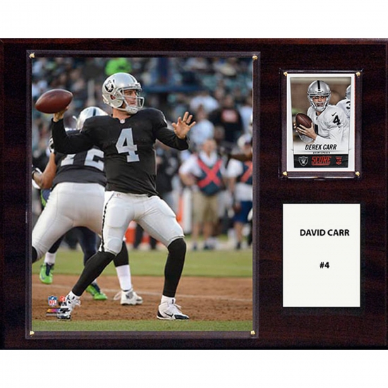C & I Collectables C&I Collectables NFL 12x15 David Carr Oakland Raiders Player Plaque