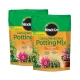 MiracleGro Miracle  Gro Cactus Palm and Citrus Soil 2Pack