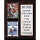 C & I Collectables C&I Collectables NFL 8x10 Barry Sanders Detroit Lions Career Stat Plaque