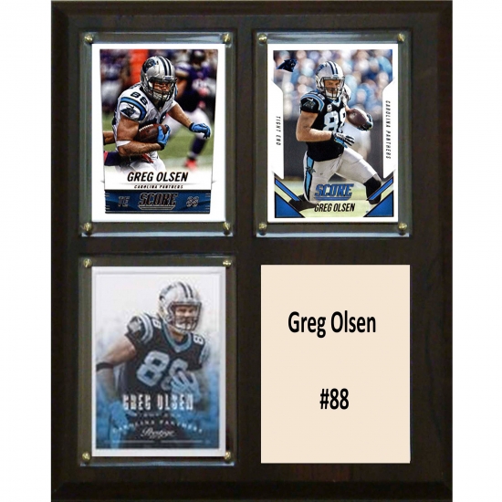 C & I Collectables C&I Collectables NFL 8x10 Greg Olsen Carolina Panthers 3-Card Plaque