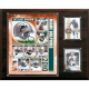 C & I Collectables C&I Collectables NFL 12x15 Miami Dolphins 2010 Team Plaque